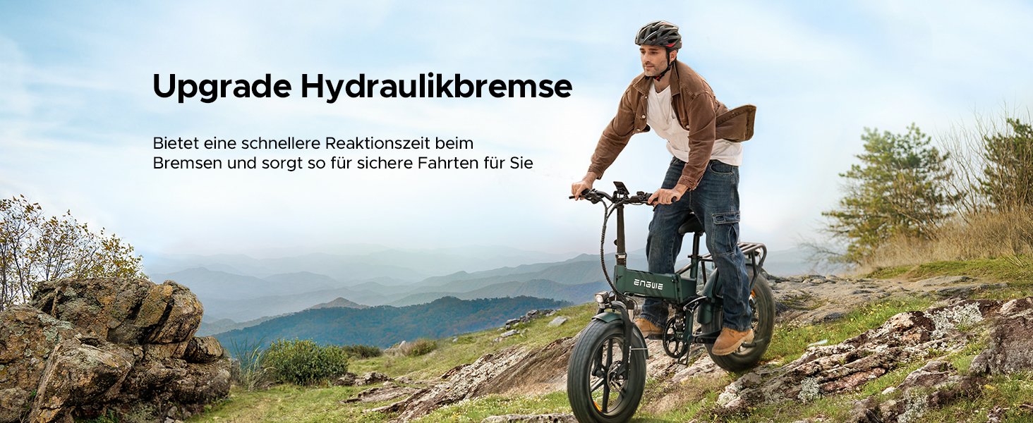 elektrofahrrad