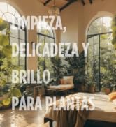 Limpieza, Delicadeza y Brillo para Plantas
