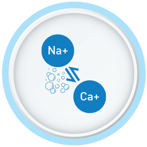 ion