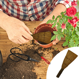 Bonsai Accessories
