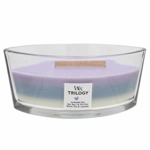Amazon.co.jp: Wood Wick ウッドウィック トリロジーハース
