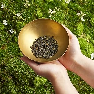 高級お茶の間ワゴン Amazon.co.jp: 【Zenique】 小茶栽堂 金木犀 烏龍茶 茶葉 台湾茶