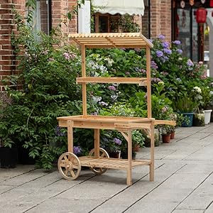 Amazon.com: Vintiquewise Antique Solid Wood Decor Display
