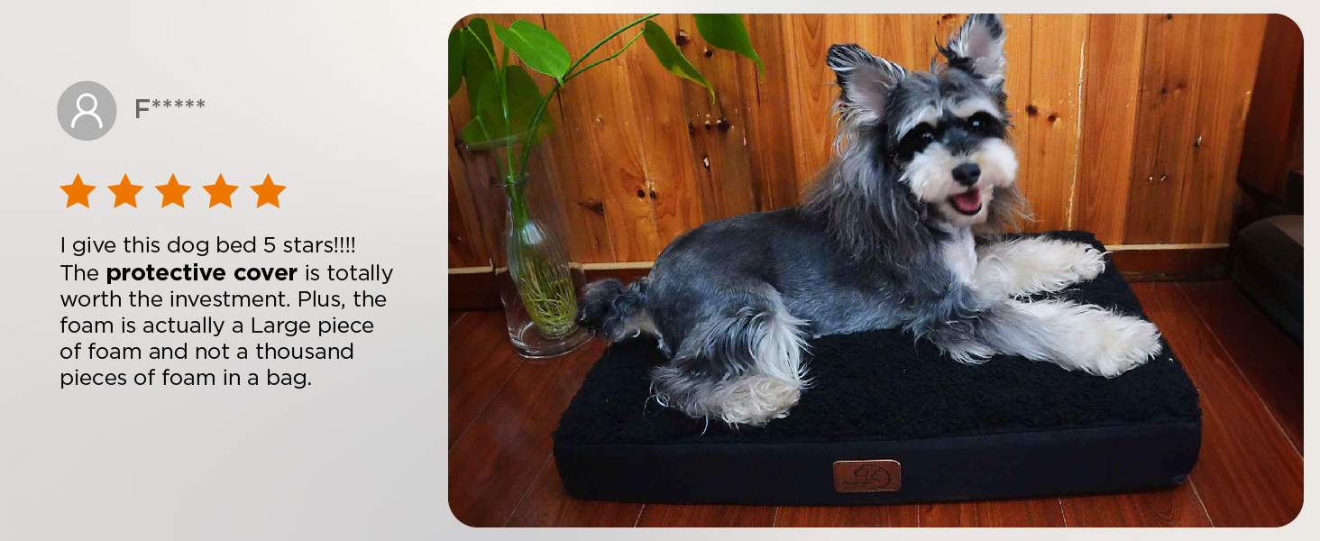 dog bed