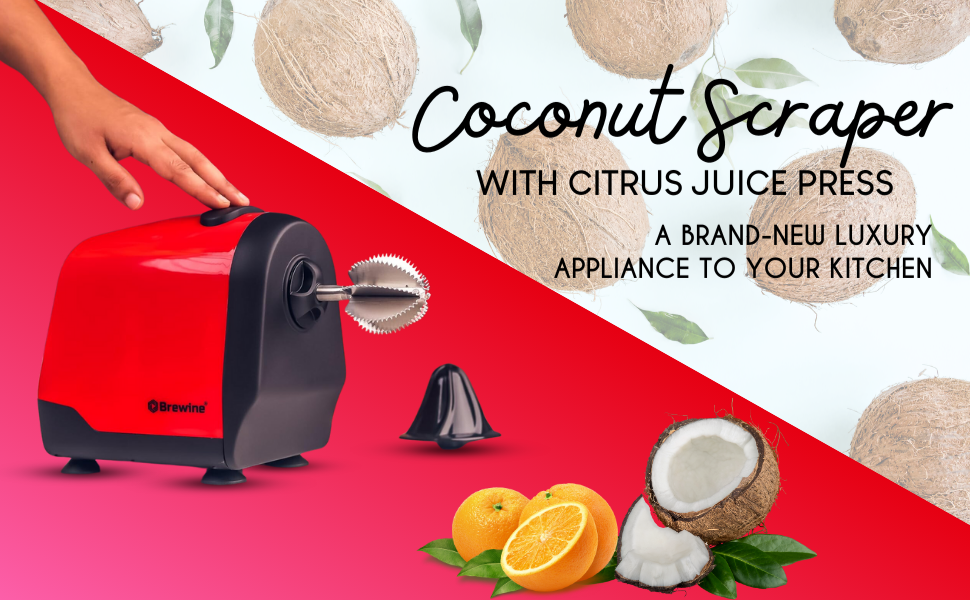 SPN-BFCC Coconut Scraper