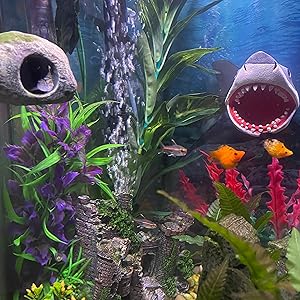 Magnetic Rock Cave from side with Shark