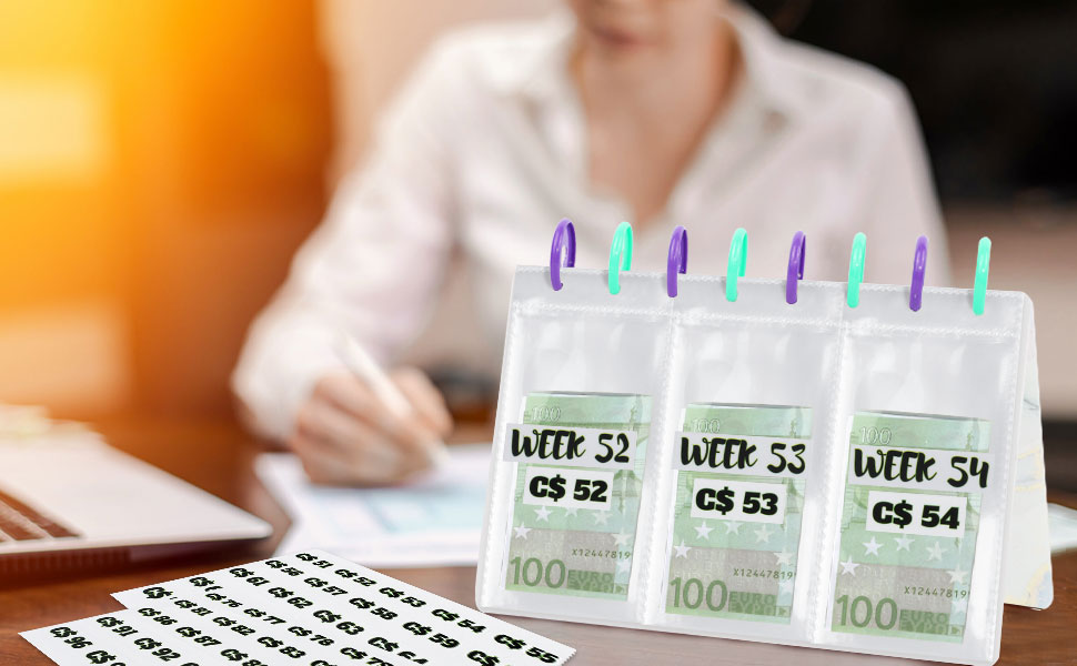 money saving challenge binder