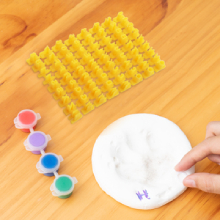 Pawprint Keepsake Kit