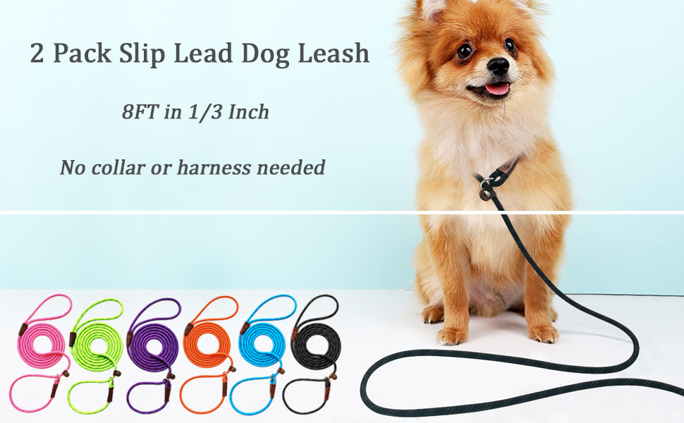 Amazon.com : WYUZE 2 Pcs 8ft Slip Lead Dog Leash, Reflective No Pull ...