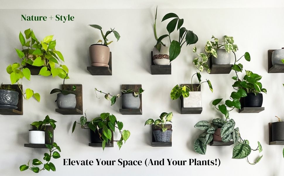 Daniel's Plants Midcentury Modern Gallery Wall Plant Shelf Pack of 3