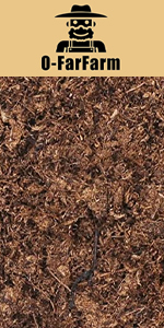 Peat Moss