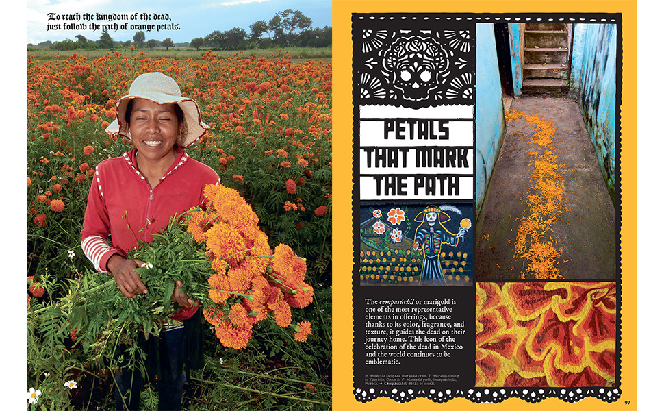 dayofthedead;mexicancelebration;celebration book;holiday;coffee table books;coffee table book;mexico