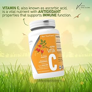 Small manufacture image 2