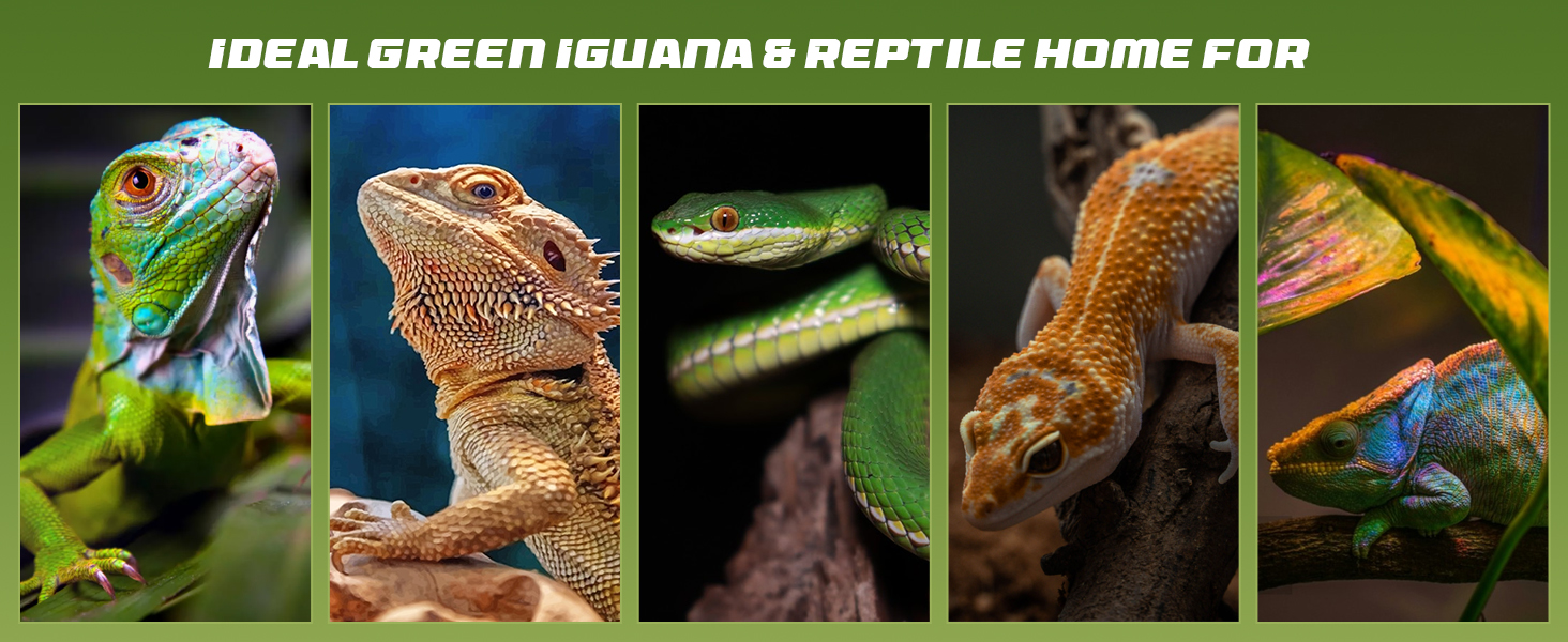 FMATOZ 33 Gallon Reptile Terrarium with Stand