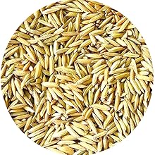 Small manufacture image 14