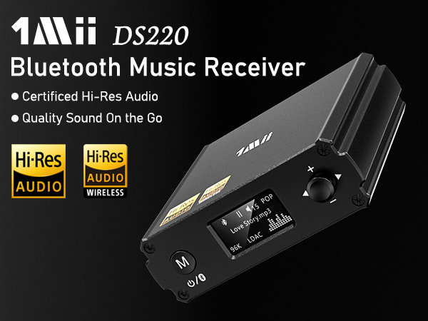 DS220 Bluetooth receiver hifi