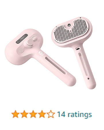 cat brush with steam