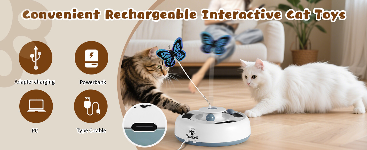 interactive cat toys