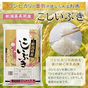 くるうとり　精米済み10キロ【農家直送！】新潟県産こしいぶき　6年産 こしいぶき 【蔵出しセール価格】米 10kg 新潟産こしいぶき お米
