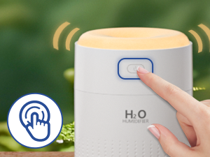 Humidifier