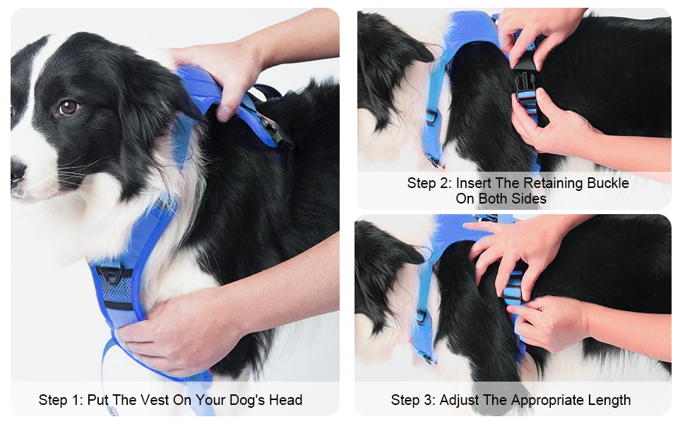 Dog Harness & Retractable Dog Leash All in One