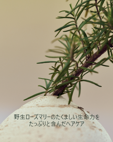 アロマティカ頭皮ケア