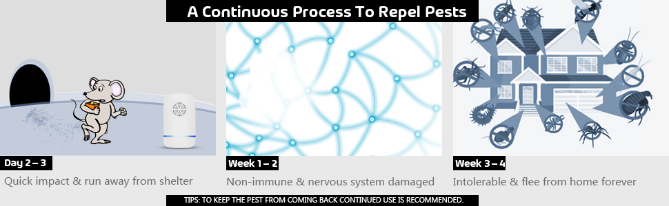 mouse traps indoor for home