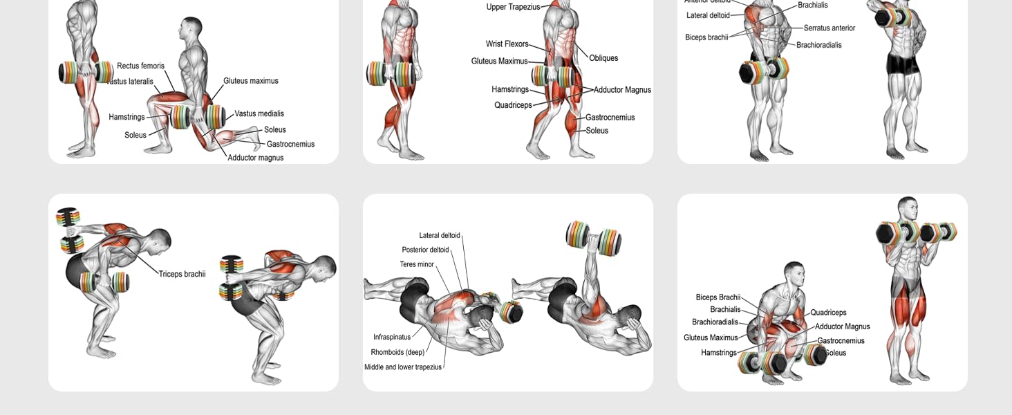 Adjustable Dumbbells Set of pair 2