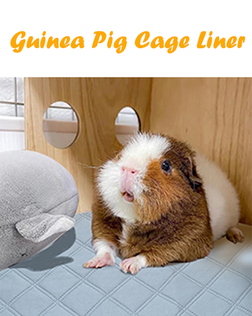 guinea pig liners