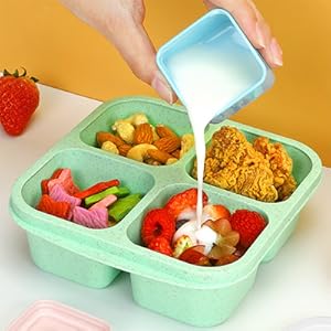 Snack Lunchable Containrse Designed for Variety