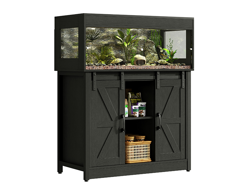 bearded dragon habitat