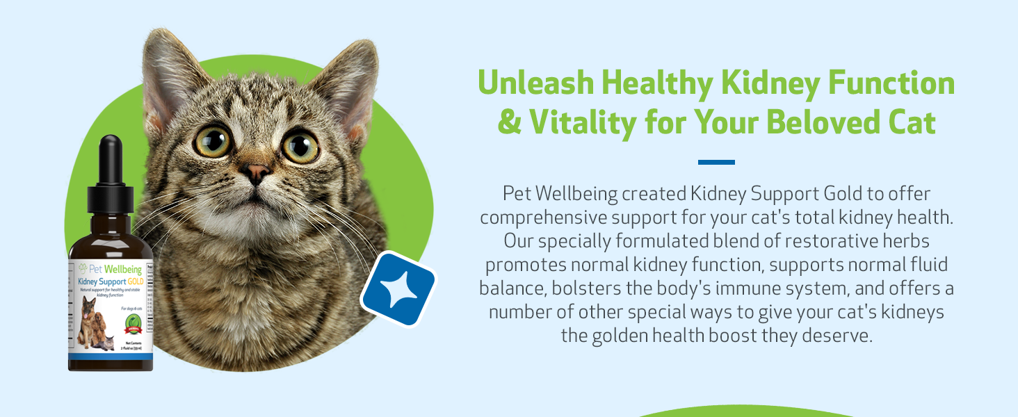 Pet Wellbeing Kidney Support Gold for Cats VetFormulated Supports