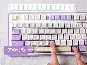Amazon.com: EPOMAKER x Aula F75 Gasket Mechanical Keyboard