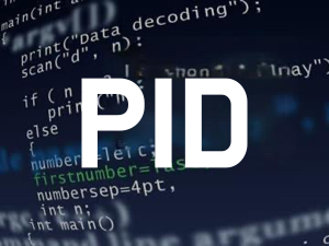 REPTILE PID THERMOSTAT