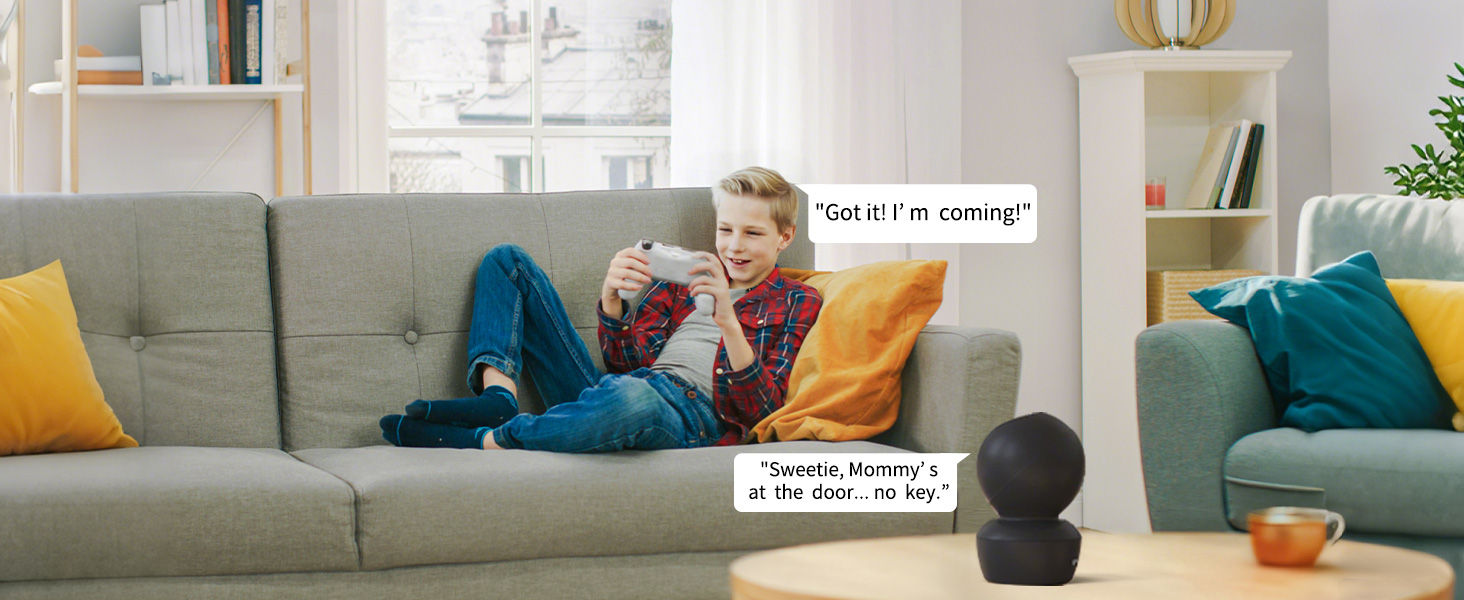 two way audio indoor camera