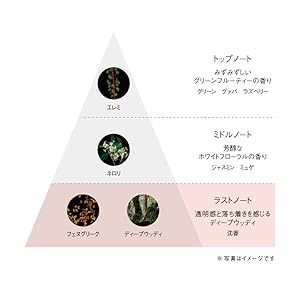 POLA B.A アイゾーンクリーム　N　ハーフサイズ B.A アイゾーンクリーム N: 商品詳細 | ポーラ公式 エイジング