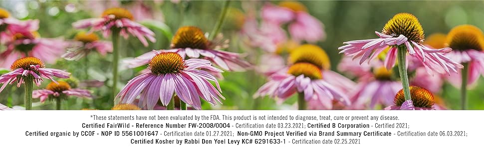 Throat Coat Lemon Echinacea Tea