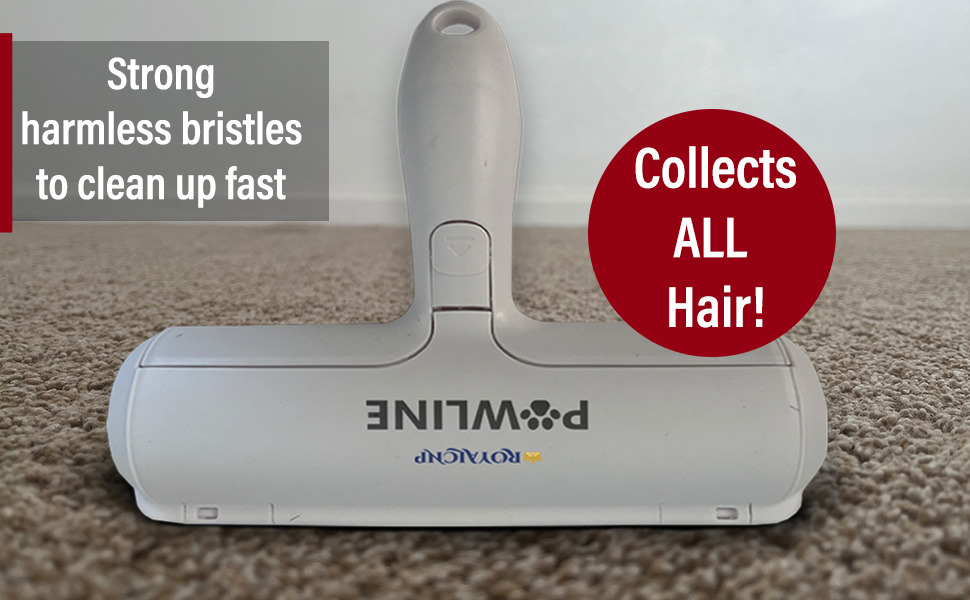 Pawline Lint Roller being used on carpet to remove and collect all pet hair with strong bristles