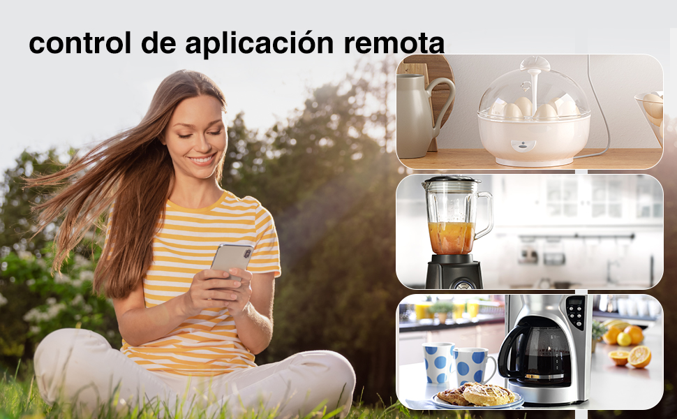 home assistant