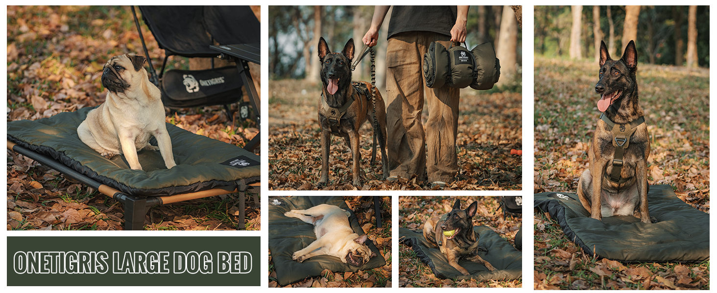 Portable dog bed with a pug and German Shepherd demonstrating use. Features durable fabric, foldable design for travel, and accommodates large breeds. Shown in outdoor settings with fallen leaves.