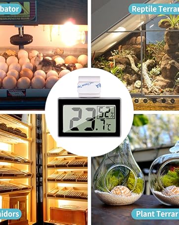 Hygrometer for Reptile Tank