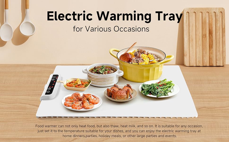 SPN-RECPP Electric Plate q1 B0DTKHV739