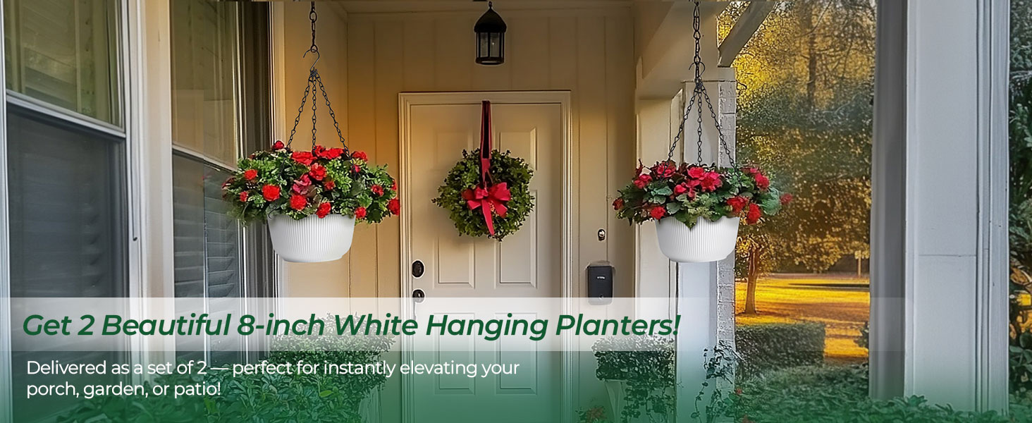 hanging planter