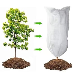 Schutzhülle für Pflanzen