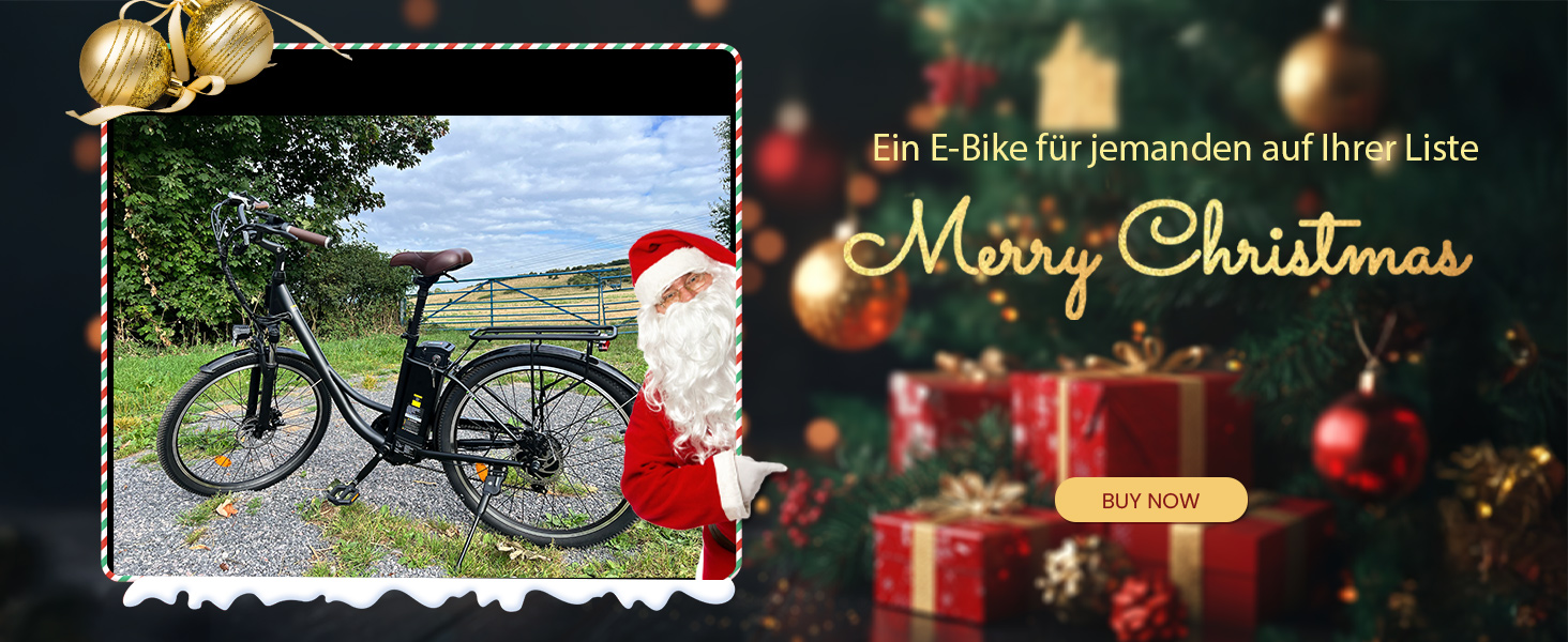 U2 E BIKE