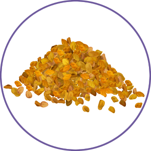 Fenugreek Extract