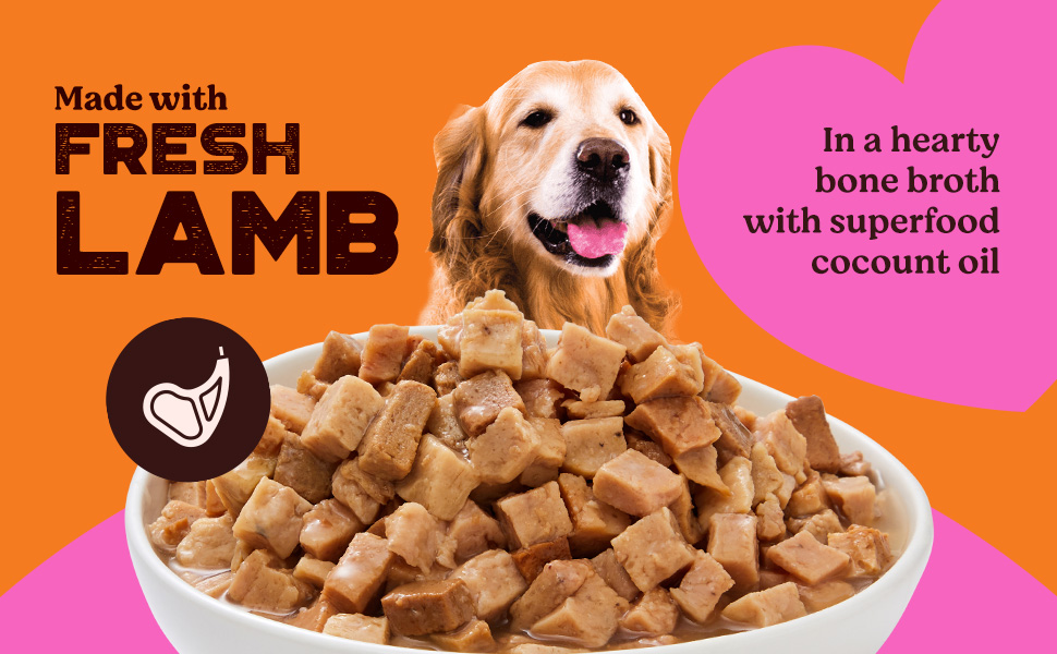 wet dog food kennel chunks for chicken gravy for dog adult gravy dog food wet dry dog food air dried