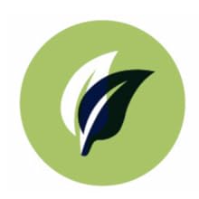 An illustrated icon of two tea leaves overlapping within a green circle