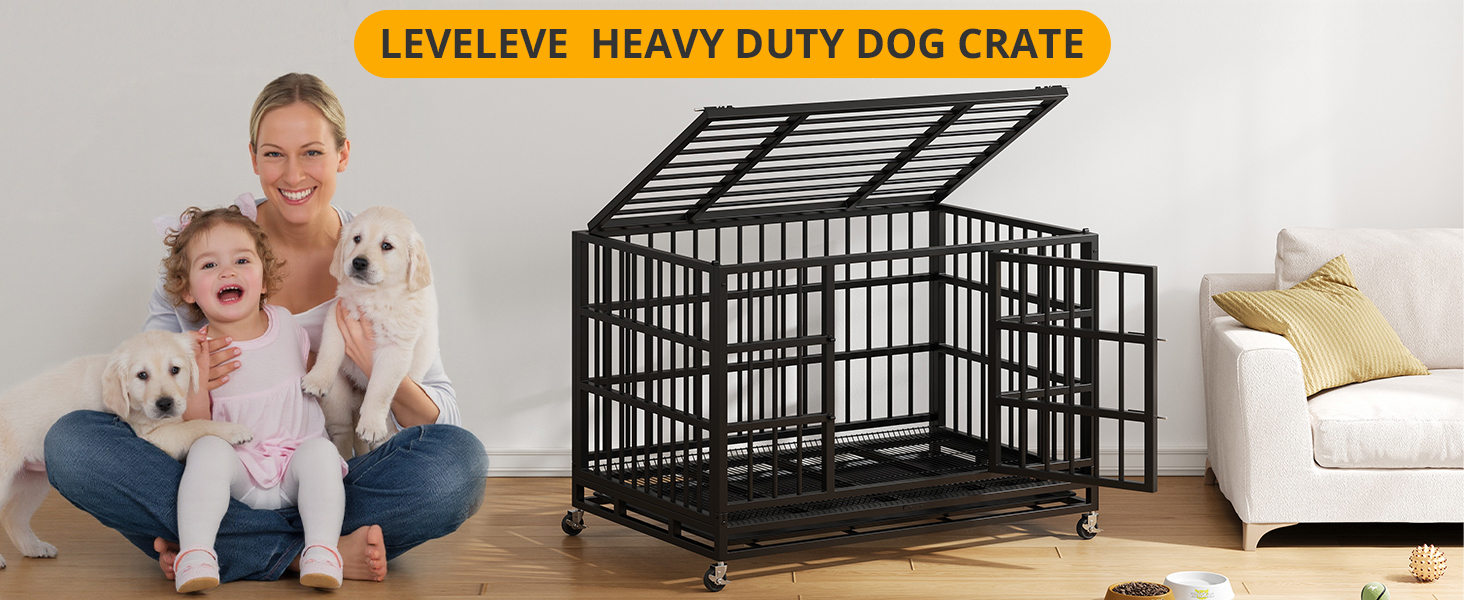 dog crates