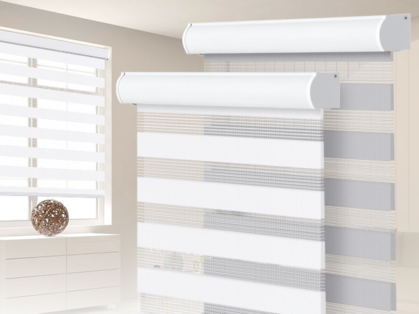 Amazon.com: SEEYE Cordless Zebra Blinds for Window, French